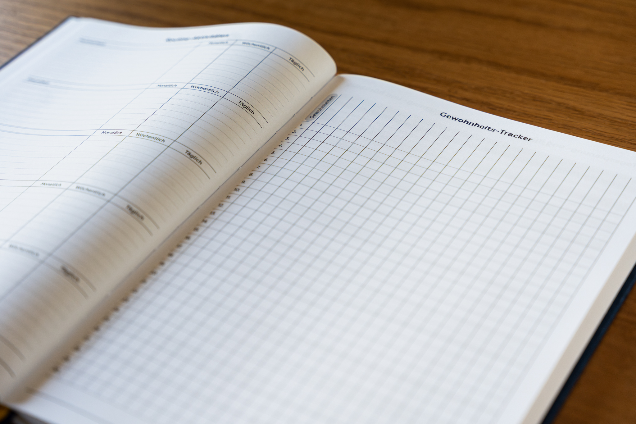 Path-Finder Journal – Bild 4